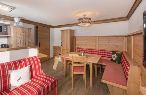 Ramsau am Dachstein Apartment | Apartment Edelweiß 4-5 persons - Alpenecho