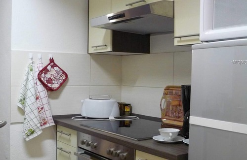 Dessau-Rosslau Apartment | Guest Rated 10/10: Apartment Elbauengewölbe with Pool