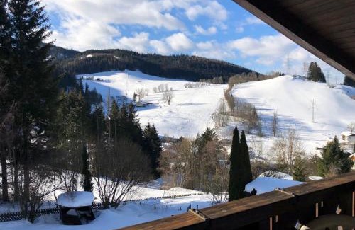 Spital am Semmering Apartment | Guest Favorite: Apartment Fam. Zappe Rated 9/10