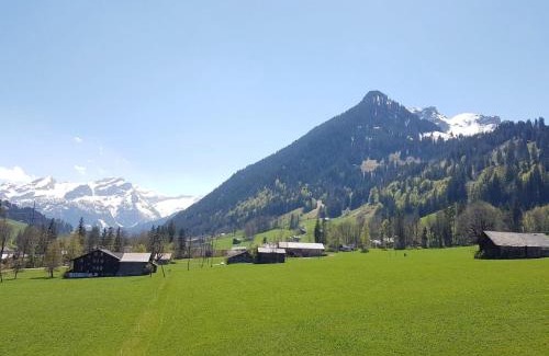 Zweisimmen Nr Gstaad Apartment | Elegant Apartment Farfalla by Interhome - 5 Star Rating