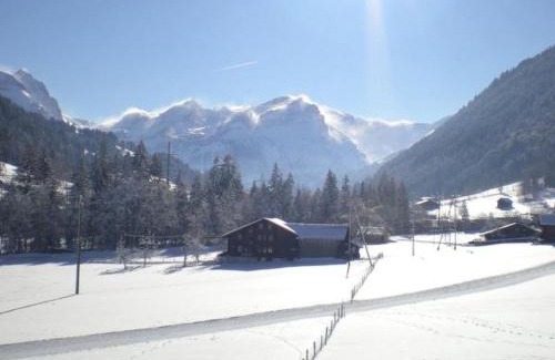 Zweisimmen Nr Gstaad Apartment | Elegant Apartment Farfalla by Interhome - 5 Star Rating