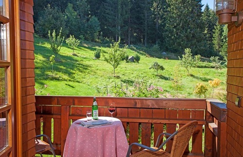 Hinterzarten Apartment | Cozy Mountain View Apartment with Terrace & Wi-Fi Access