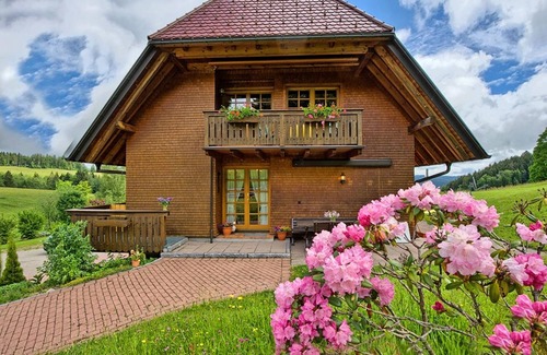 Hinterzarten Apartment | Cozy Mountain View Apartment with Terrace & Wi-Fi Access
