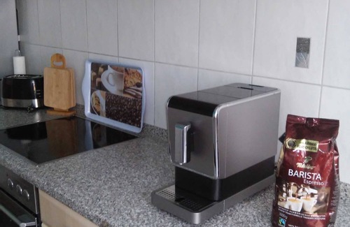 Dessau-Rosslau Apartment | Family-Friendly Apartment in Anhalt with Kitchen Access
