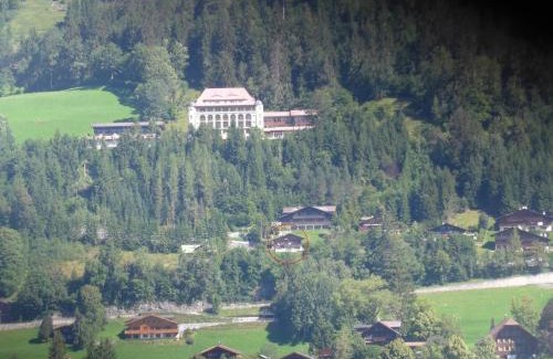 Saanen Apartment | Discover Fluehüsli by Interhome: Family-Friendly Retreat