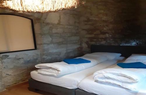 Serrieres-en-Chautagne House | Apartment in Serrières Castle near French Alps, cleaning included