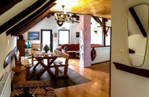 Irinovac Apartment | Top-Rated Apartment Franciska: Family & Wheelchair Accessible