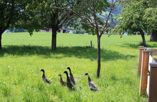 Kapfing Apartment | Pet-Friendly Apartment Gasteighof-2 for Memorable Stays