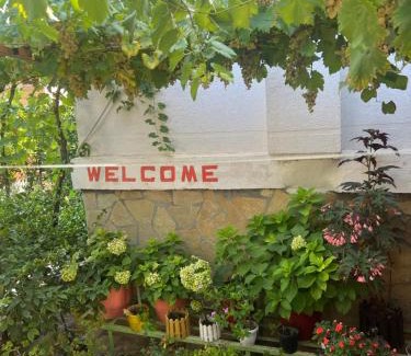Berat Apartment | Discover Apartment Geart: Pet Friendly with Ocean Views