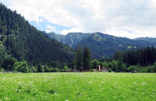 Mayrhofen Apartment | Family-Friendly Apartment Gredler - MHO250 by Interhome