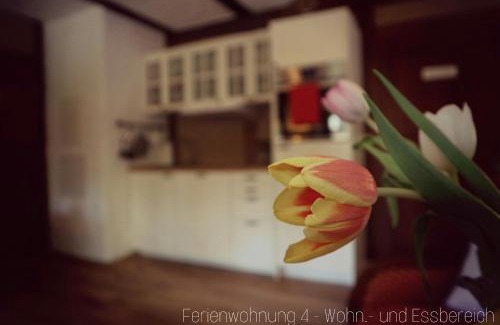 Oberzug Apartment | Cozy Retreat at Apartment Grubenhaus20 - Rated 10/10