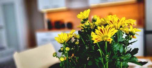 Region Hannover District Apartment | Top-Rated Apartment in Langenhagen Center - Family-Friendly