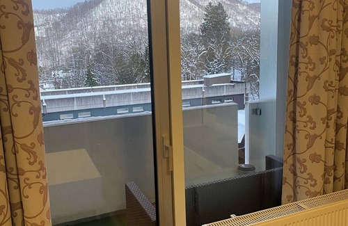 Bad Harzburg Apartment | Apartment 'Harz Mit Elan' with Mountain View, Balcony and Wi-Fi