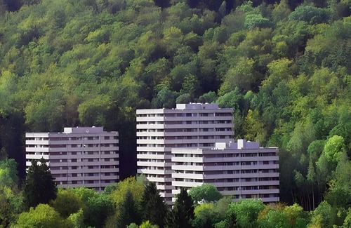 Bad Harzburg Apartment | Apartment 'Harz Mit Elan' with Mountain View, Balcony and Wi-Fi