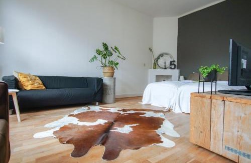 Hof van Delft Apartment | Welcoming Havenstraat Apartment: Rated 9.4/10, Family-Friendly