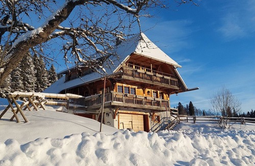 Feldberg Apartment | Apartment 'Hisli' with Mountain View, Balcony and Wi-Fi