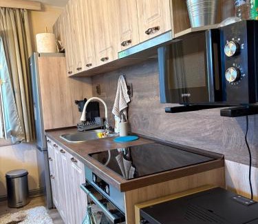 Dobrinishte Apartment | Apartment Hristina