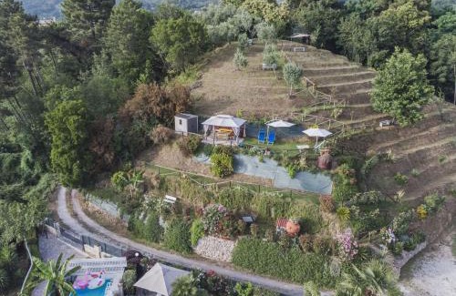 Camaiore Apartment | Guest Rated 10/10: Apartment Il Melograno with Pool Access