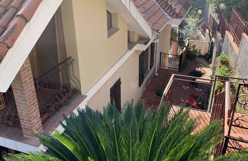 Vallebona Apartment | Elegant Apartment in Olive Jungle Near Mediterranean Sea