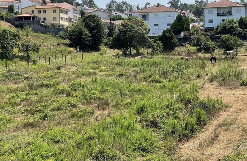 Ponte de Lima Apartment | Apartment in a quiet area of Ponte de Lima