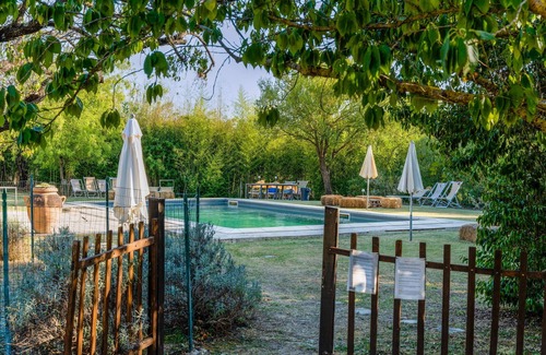 Asciano Apartment | Cozy 3-Room Apartment with Garden and Pool Access
