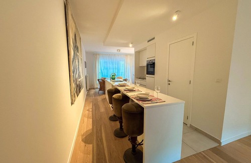 Upper Town Apartment | Apartment in Brussels Near European Parliament