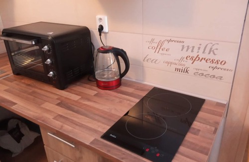 Loket Apartment | Central Elbogen Apartment with Kitchen, Perfect for Families