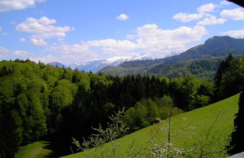 Marktschellenberg Apartment | Tranquil Apartment with Panoramic Views & Pool Access