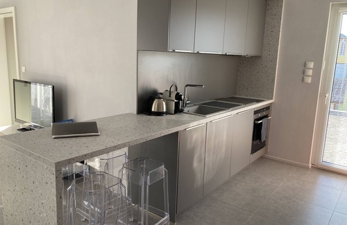 Colmar Apartment | Exceptional Apartment in Detached House with Family Amenities