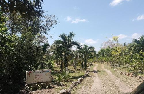 Xul-Ha Apartment | Apartment in Finca Mayfran