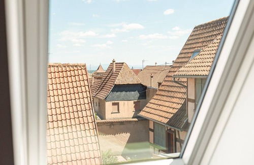 Dambach-la-Ville Apartment | Pet-Friendly Gite in Dambach-la-Ville with Terrace & Kitchen