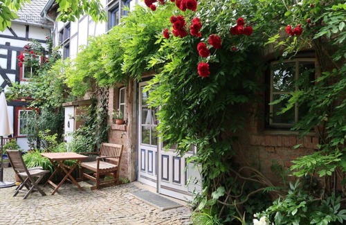 Weinbach Apartment | Pet-Friendly Apartment in Geiersthal with Kitchen & Breakfast