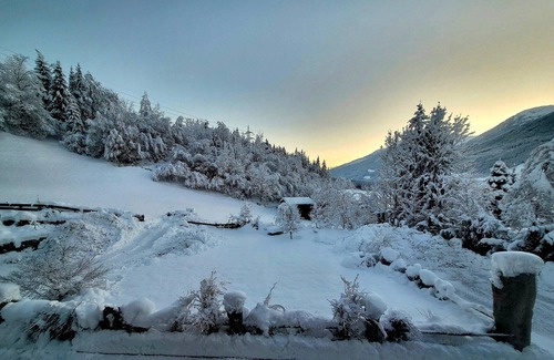 Schonbach Apartment | Top-Rated Apartment in Neukirchen with BBQ and Kitchen