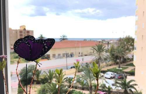 Torrevieja Apartment | Top-Rated Pineapple House Apartment in La Mata Playa