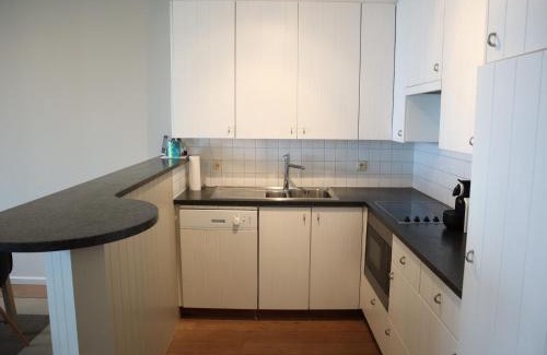 Nieuwpoort-Bad Apartment | Prime Location AB A1003 Casino: Family-Friendly Getaway