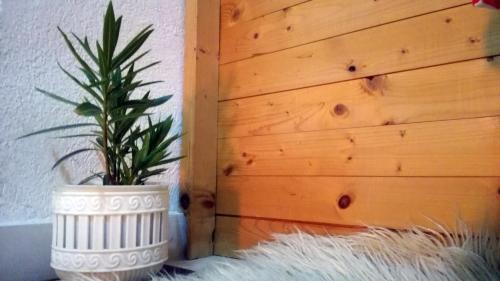 Prilep Apartment | Cozy Apartment in Prilep: Pet-Friendly & Child-Friendly Stay