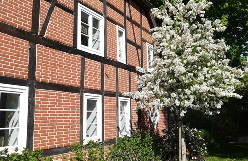 Klein Trebbow Apartment | Tranquil Apartment Steps from Trebbower See with Lake Views