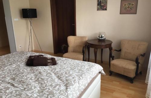 Drzovice Apartment | Cozy Apartment in the Garden with Family-Friendly Amenities