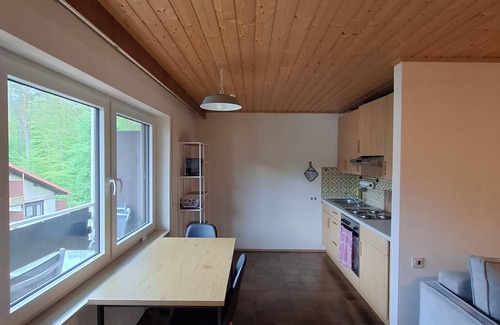 Schontal Apartment | Scenic Retreat by the Lake in Palatinate Forest Reserve