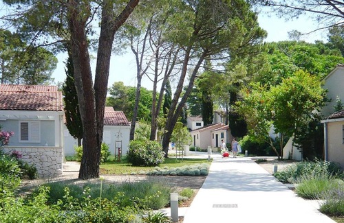 Zaton Apartment | Cozy Apartment in Zaton-Nin, Steps from the Sea & Family-Friendly
