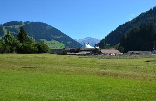 Zweisimmen Nr Gstaad Apartment | Family-Friendly Apartment Jacqueline 12 with Top Reviews