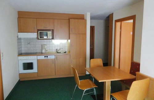 Trenkwald Apartment | Pet-Friendly Apartment Köfels-2 with Cozy Fireplace