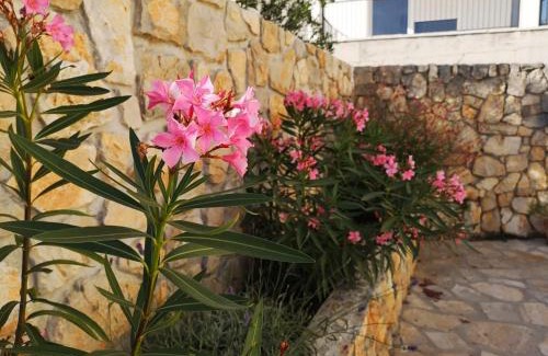 Primosten Apartment | Pet-Friendly Apartment Klara with Exceptional Guest Rating