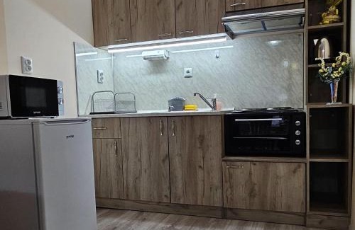 Velingrad Apartment | Pet and Child Friendly Apartment Krasi: Rated 9.7/10