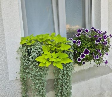 Trilj Apartment | Discover Apartment Ksenija: 2-Room Retreat, Child Friendly