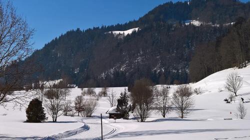 Kufstein Apartment | Apartment Kufstein