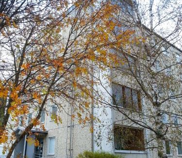 Maenttae-Vilppula Apartment | Family-Friendly Apartment Kukkarokivenkatu with High Ratings