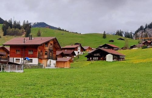Adelboden Apartment | Family-Friendly Apartment Lärchehuus - Rated 9.4/10!