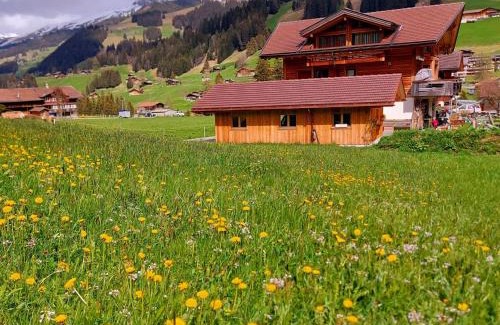 Adelboden Apartment | Family-Friendly Apartment Lärchehuus - Rated 9.4/10!