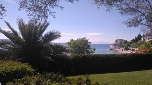 Selce Apartment | Pet-Friendly Apartment Lemon & Soul with Oceanfront Views